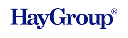 logo_haygroup
